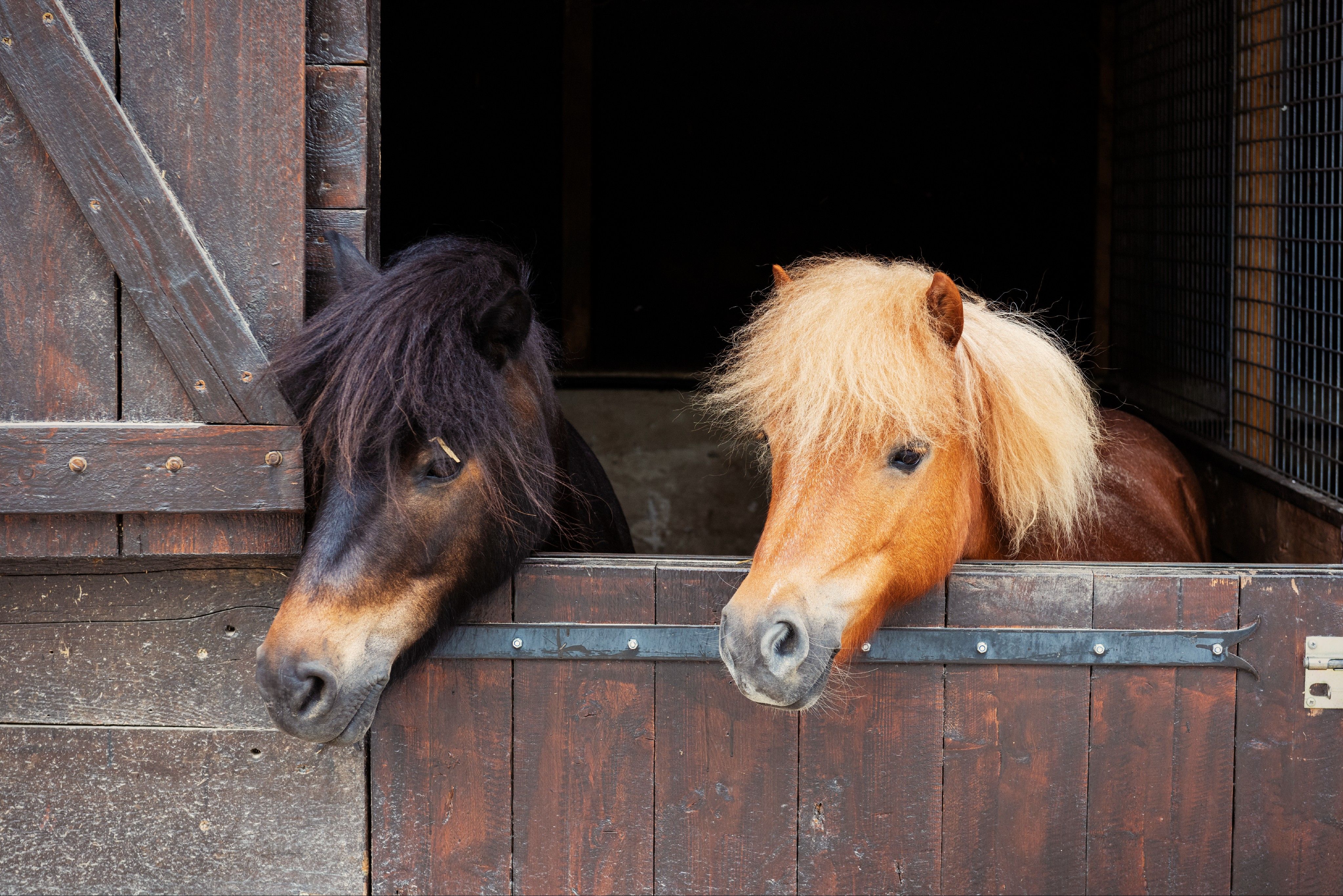 blockValue.ac562a75-0381-4aed-8742-0ff1adf666e9.slide.3.img_alt