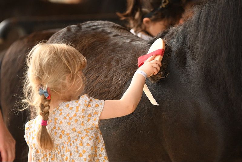 blockValue.ac562a75-0381-4aed-8742-0ff1adf666e9.slide.2.img_alt